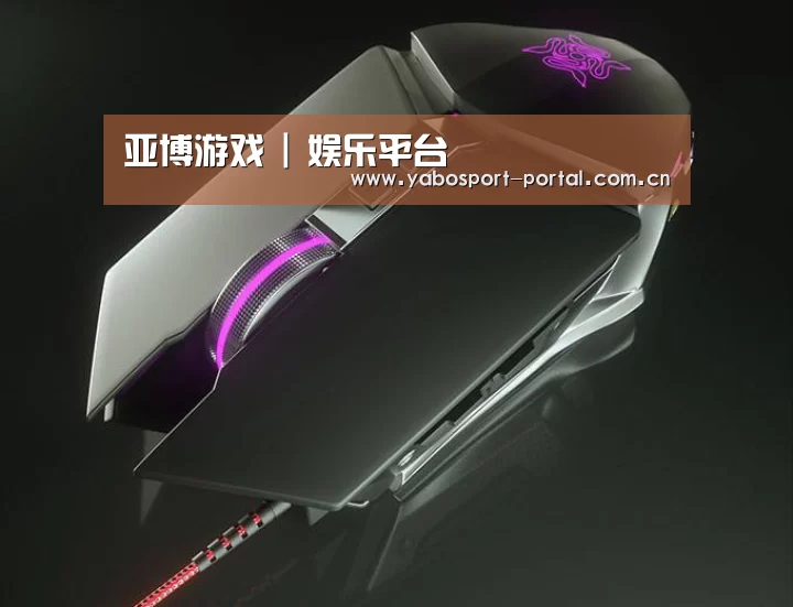 鼠标封面设计