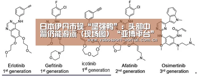 日本伊丹市现“坚强鸭”:头部中箭仍能游泳(现场图)“亚博平台”(图3) 亚博官网