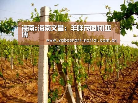 海南:海南文昌:羊咩茂园村|亚博(图1) 亚博平台